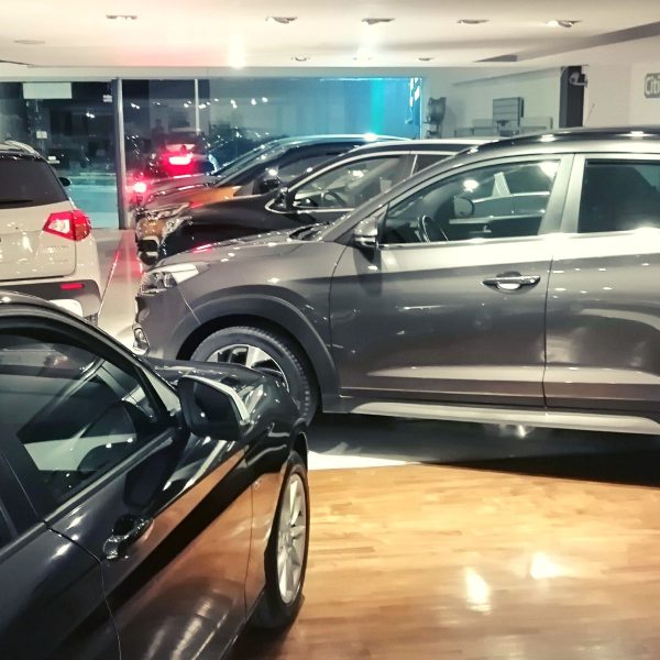 dipsot project: auto belexas